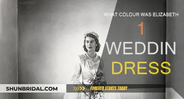 The Colour of Elizabeth I's Wedding Dress