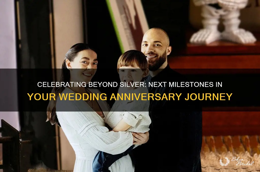 what comes after silver wedding anniversary