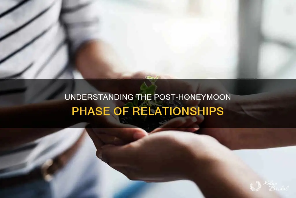 what comes after the honeymoon phase in a realtionship
