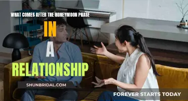 Understanding the Relationship After the Honeymoon Phase