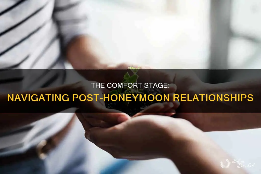 what comes after the honeymoon stage in a relationship