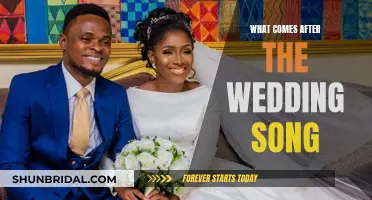 The Wedding Song's End: What Comes After?