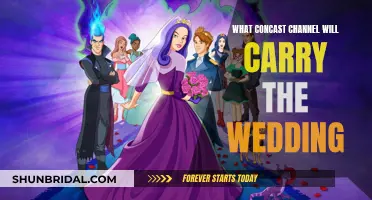 Concast Channel for the Royal Wedding