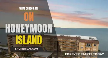 Honeymoon Island's Top Condos: A Guide to Paradise Living