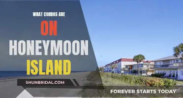 Honeymoon Island's Best Condo Options for Newlyweds