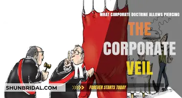 Piercing the Corporate Veil: Understanding Legal Doctrines Behind Liability Exposure