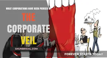 Corporate Veil Pierced: Notable Corporations Held Personally Liable
