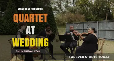 String Quartet Wedding Costs: Budgeting for Elegant Musical Ambiance