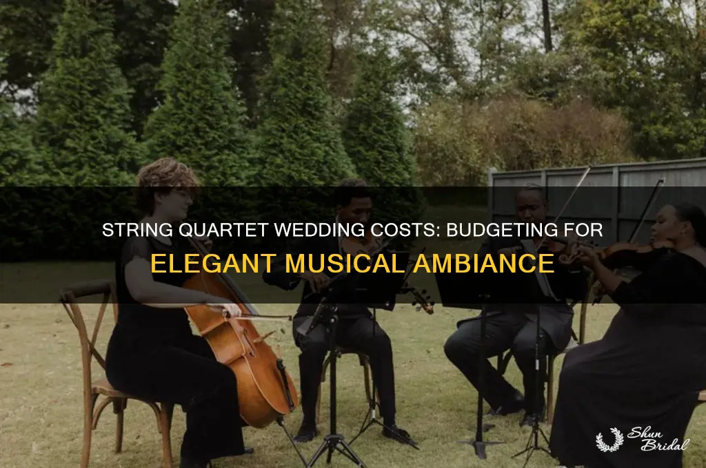 what cost for string quartet at wedding