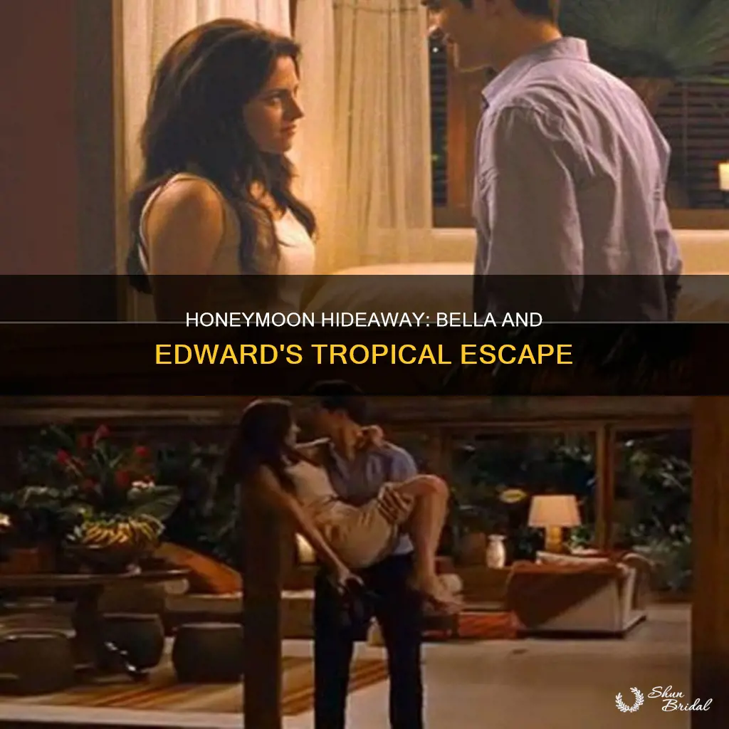 what country did bella and edward go on their honeymoon