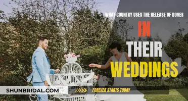 Dove Release Weddings: Which Country Traditions?