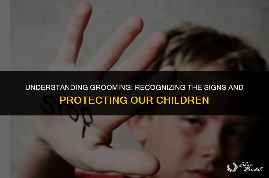 what counts as grooming