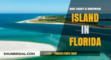 Discovering Honeymoon Island's County Location in Florida's Paradise