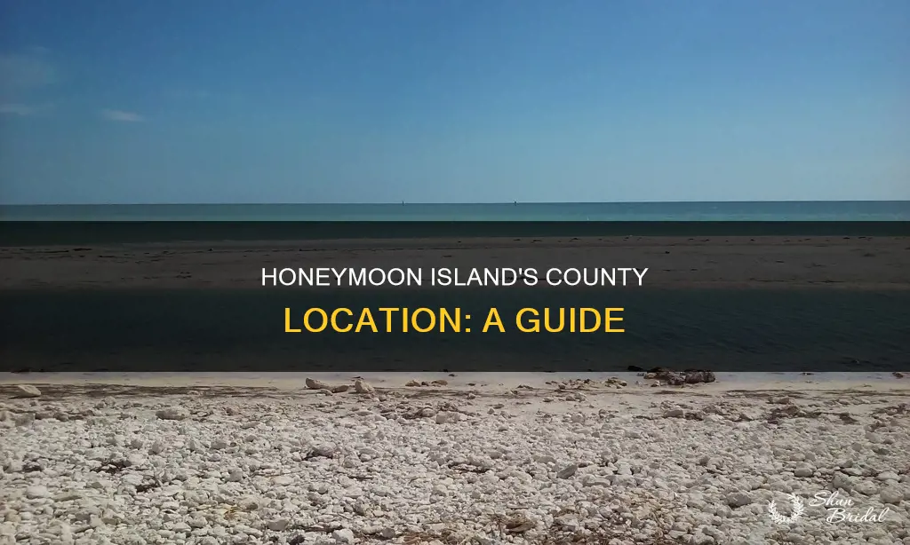 what county is honeymoon island in