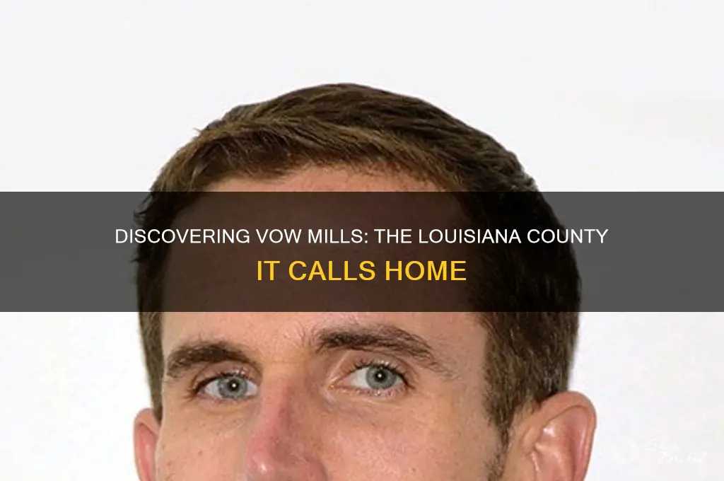 what county is vow mills louisiana in