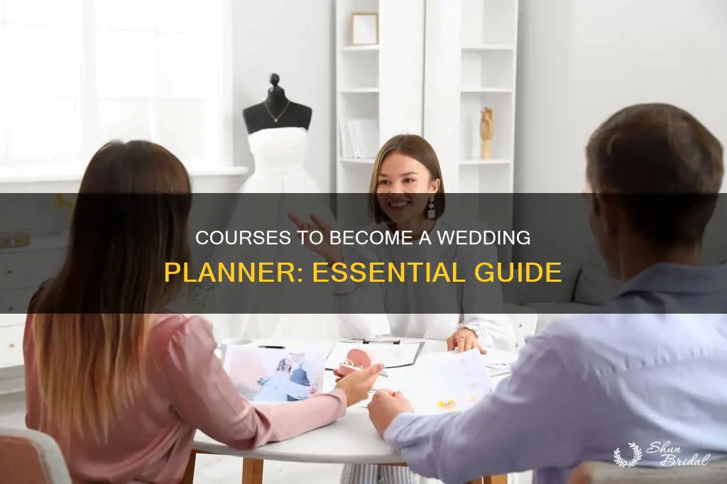 what courses are needed to become a wedding planner