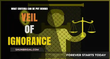 Veil of Ignorance: Key Criteria for Fair Decision-Making Principles