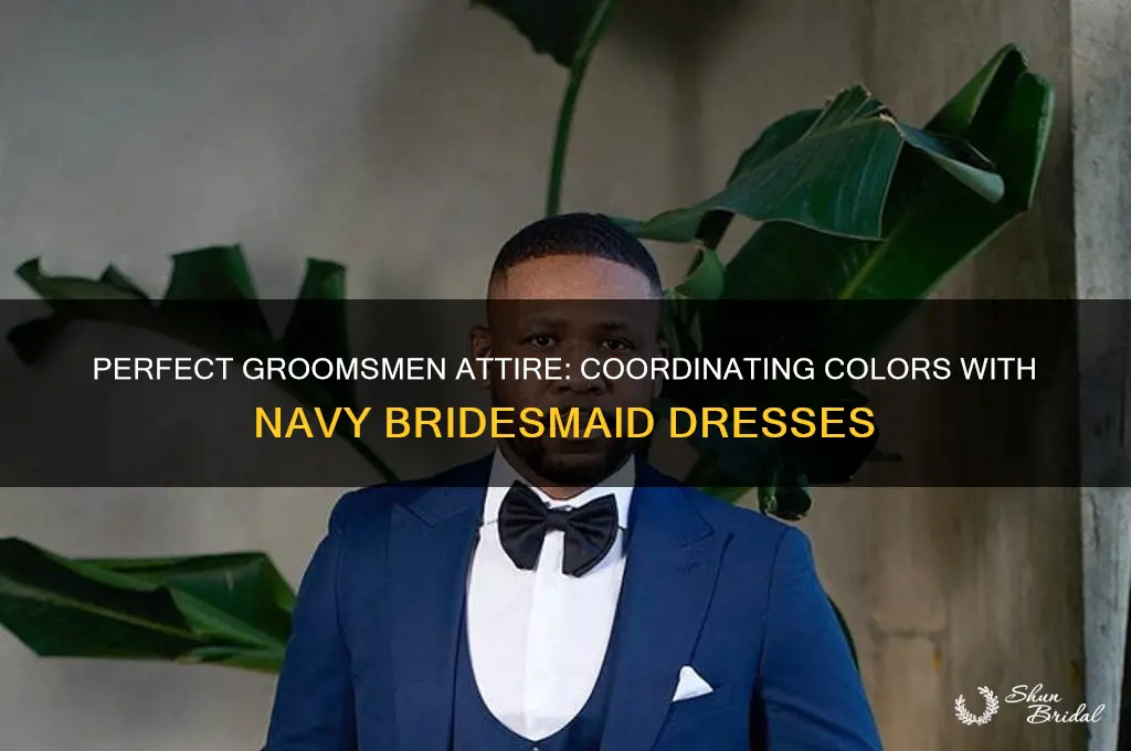 what cv olor groomsmen to go with navy brudesmaid