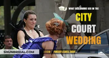 Carrie's Court Wedding in Sex and the City: The Day Revealed
