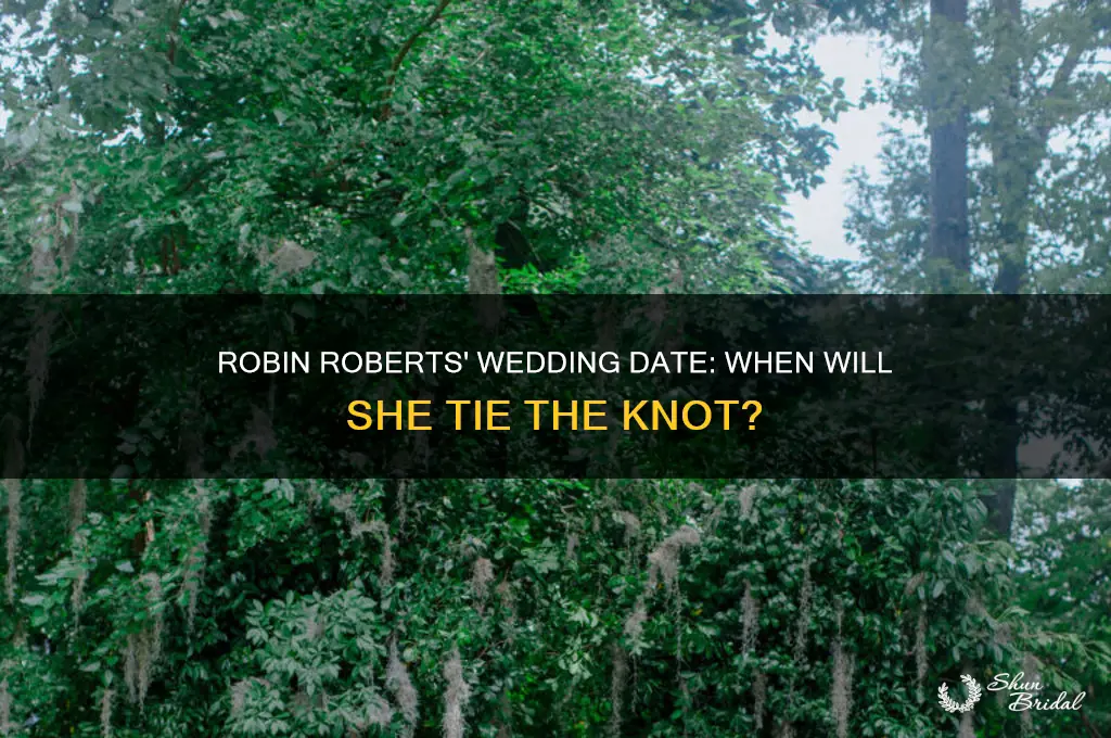 what day is robin roberts wedding