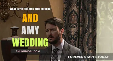 The Big Bang Theory: Sheldon and Amy's Wedding Date Revealed