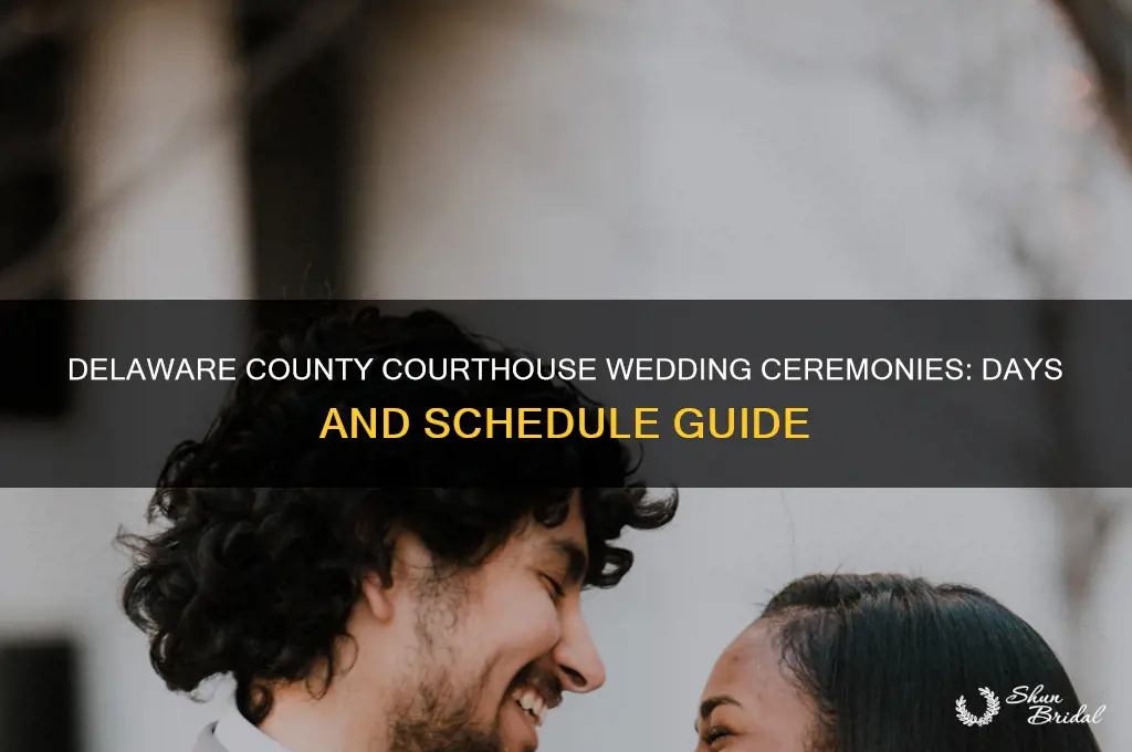 what days does delaware county courthouse perform wedding ceremonies