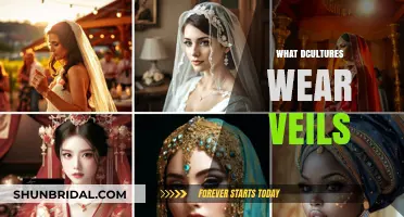Veils Across Cultures: Traditions, Meanings, and Modern Practices Explored