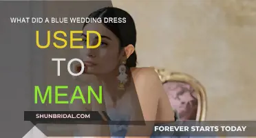 Blue Wedding Dresses: History and Meaning