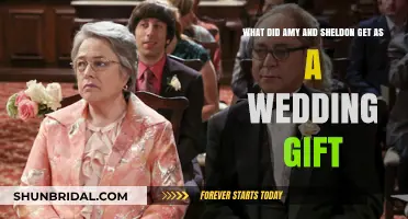 Amy and Sheldon's Wedding Gift: A Surprising and Heartwarming Surprise