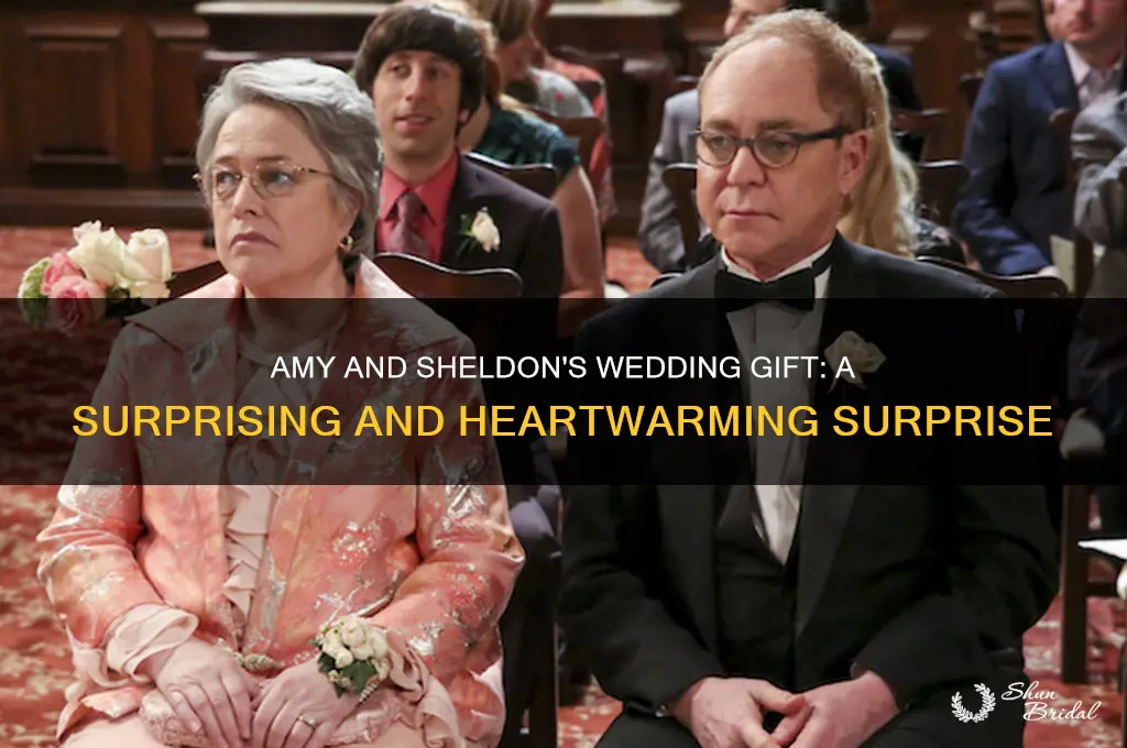 what did amy and sheldon get as a wedding gift