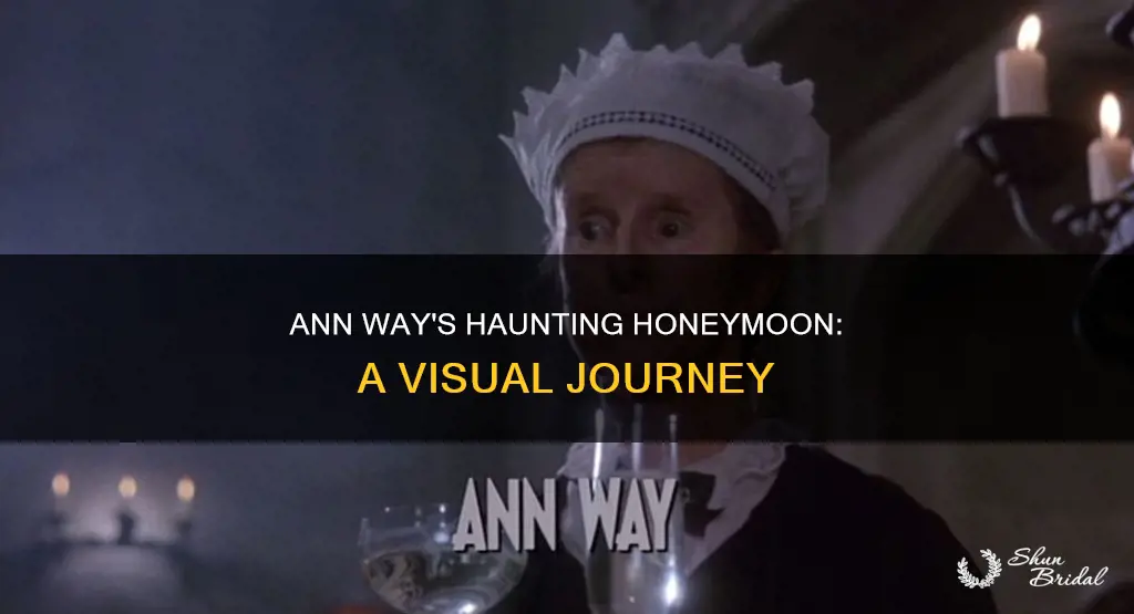 what did ann way look like in haunted honeymoon