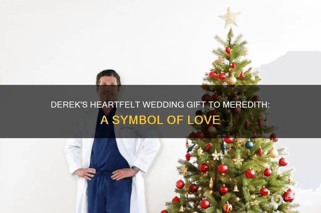 what did derek give meredith as a wedding gift