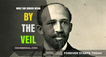 Unveiling Du Bois' Vision: Understanding the Symbolic Veil's Meaning