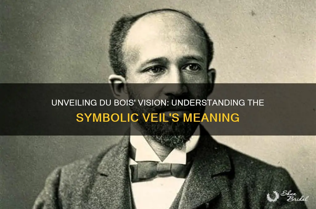 what did dubois mean by the veil