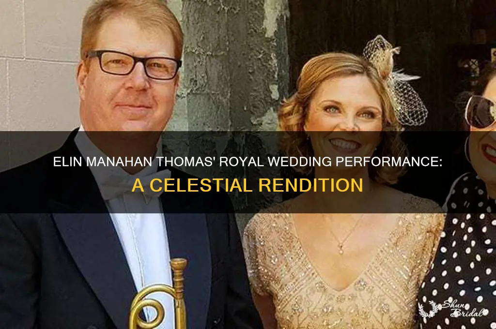 what did elin manahan song at the royal wedding