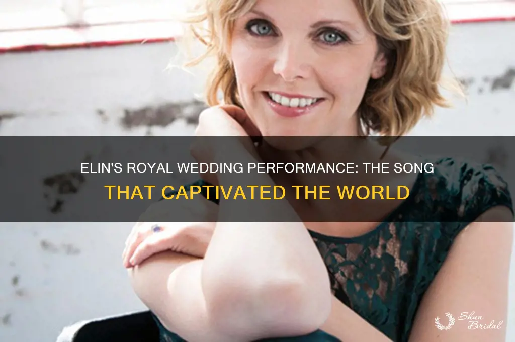 what did elin sing at royal wedding