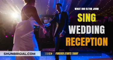 Elton John's Wedding Reception Performance: Songs and Details