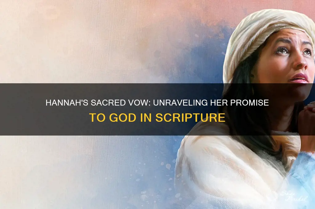 what did hannah vow to god