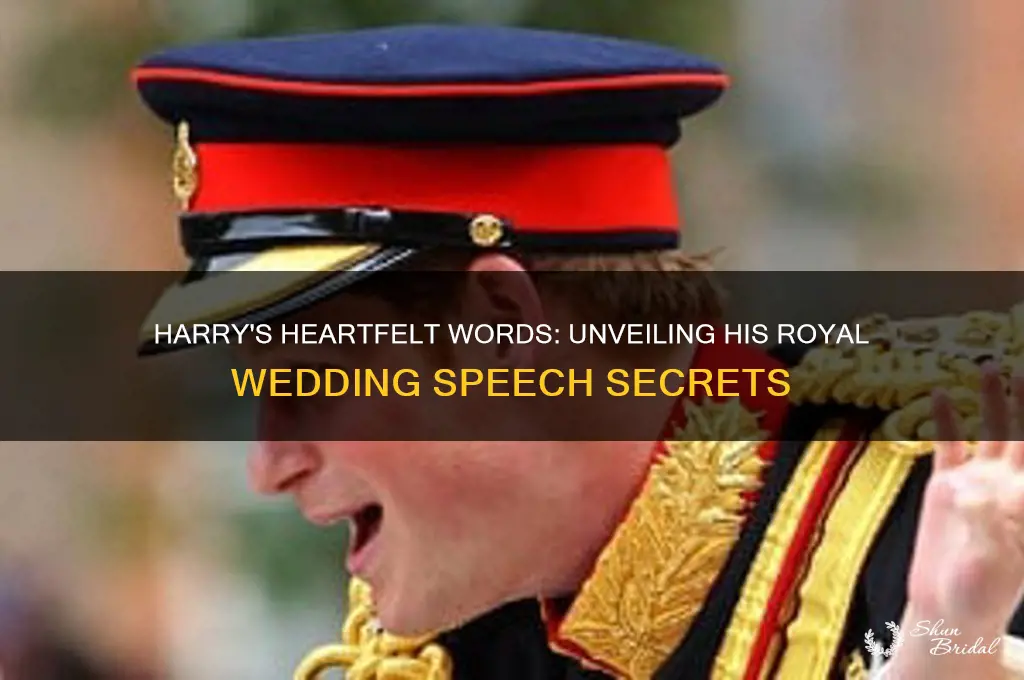 what did harry say royal wedding