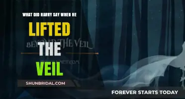 Harry's Haunting Words: Lifting the Veil's Secrets Revealed