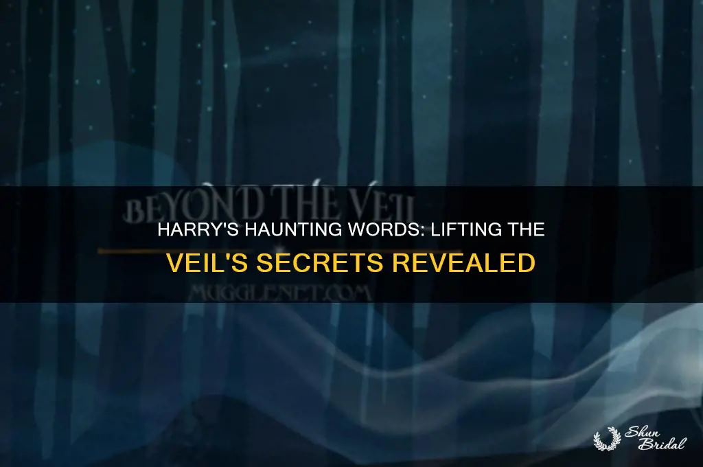 what did harry say when he lifted the veil