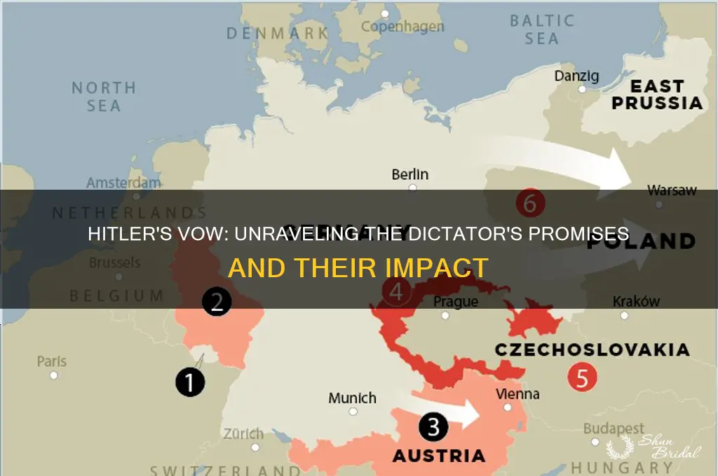 what did hitler vow