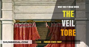 The Torn Veil: Unveiling the Symbolic Meaning Behind the Rupture