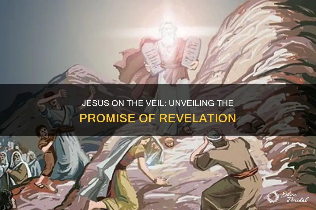what did jesus say about the veil will be lifted