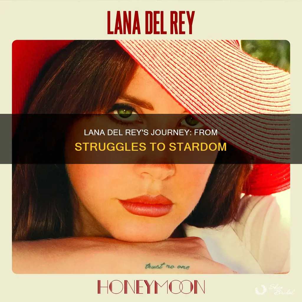 what did lana del rey do