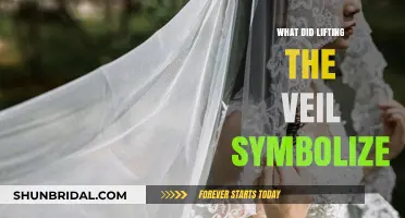 Lifting the Veil: Unveiling Symbolism, Empowerment, and Transformation Explained