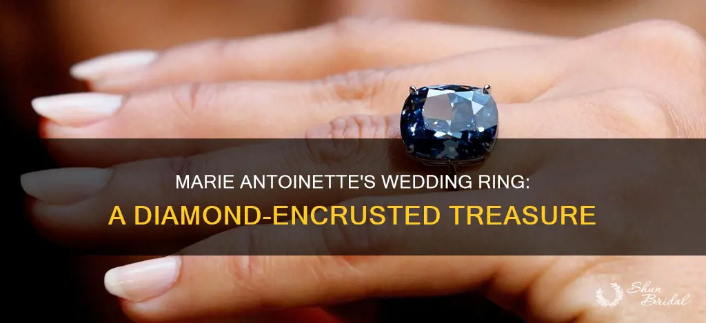 what did marie antoinette