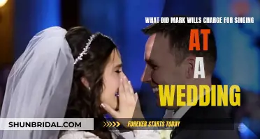 Mark Wills' Wedding Performance: How Much Did It Cost?