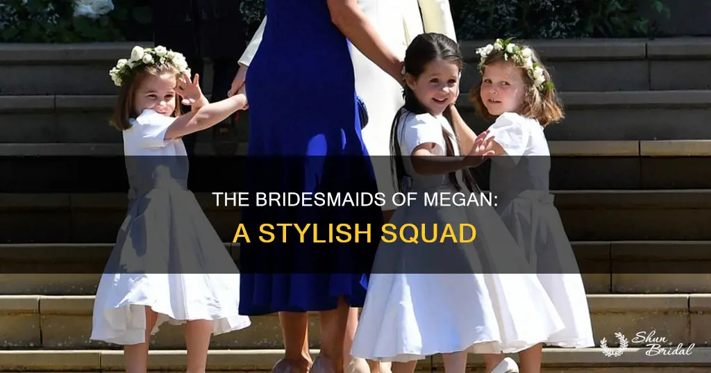 what did megan bridesmaids