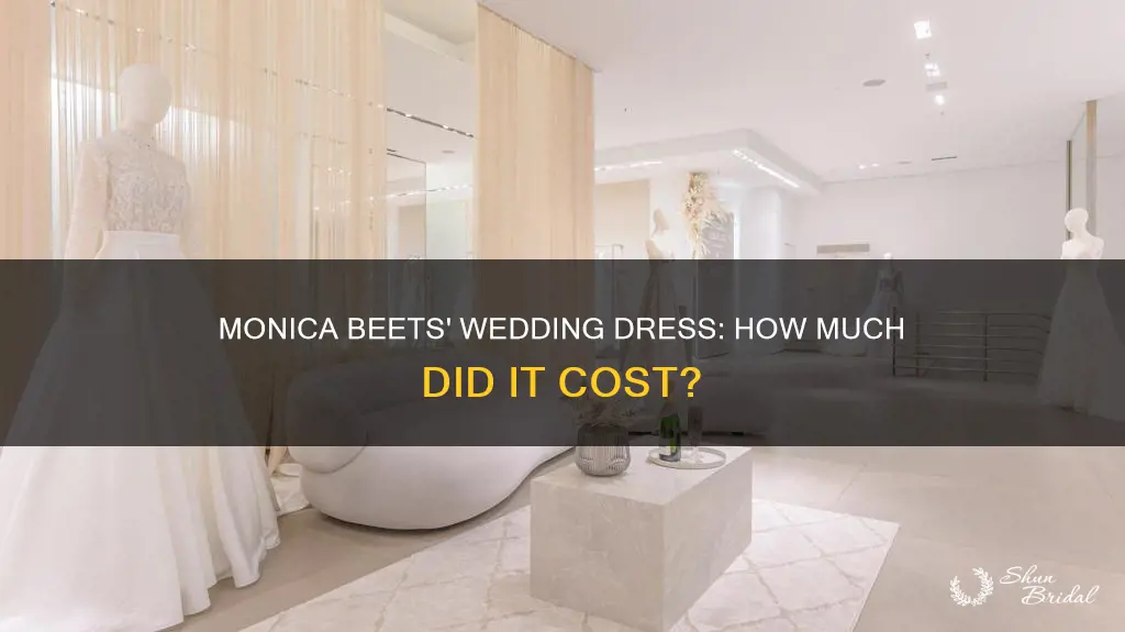 what did monica beets wedding dress cost